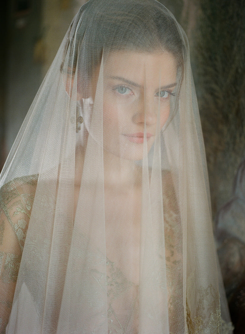 Blush Pink silk tulle veil with Gold metallic lace trim and gold dress