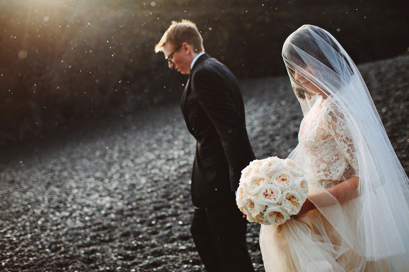 Ivory Silk Tulle Wedding Bridal Veil | Ethereal - Emily Riggs 